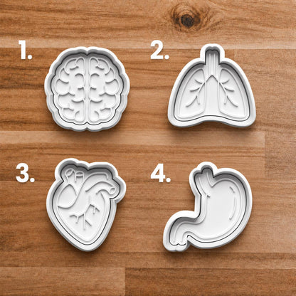 Human Anatomy Cookie Cutter Set | Brain Heart Lungs Stomach Cutters | Medical School Baking | Nurse Doctor Gift