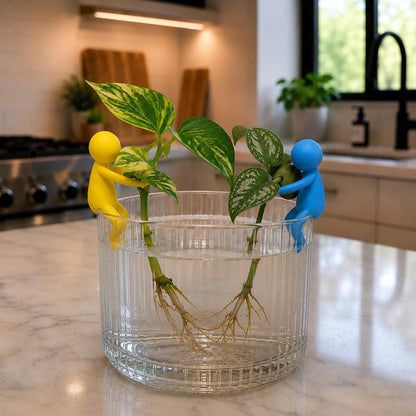 Plant Propagation Buddies | Plant Cutting Holder Stabilizers | Cute Hydroponic Rooting Decor for Indoor Plants